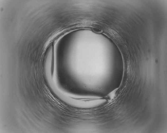 X0000053061164200508081146