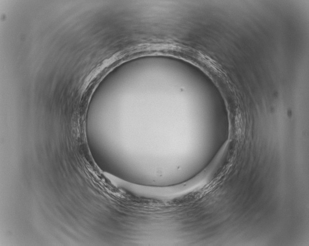 X0000053061165200508081146