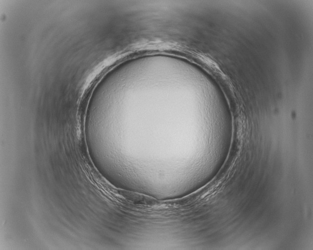 X0000053061167200508081146