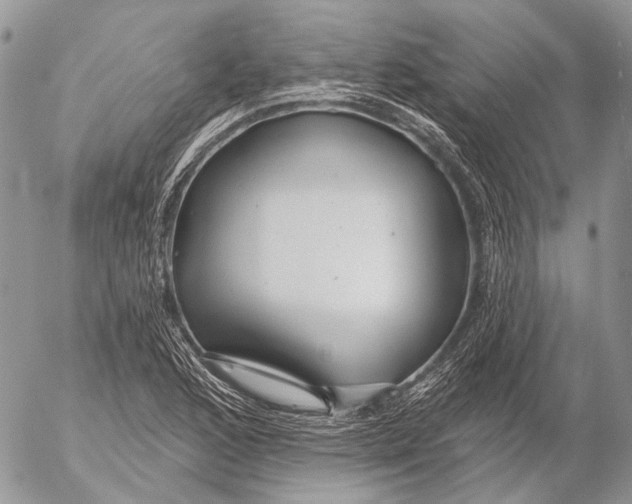 X0000053061168200508081146