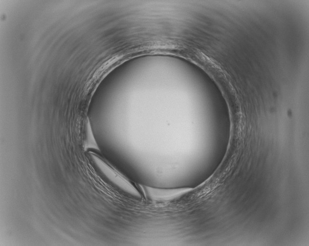 X0000053061169200508081146