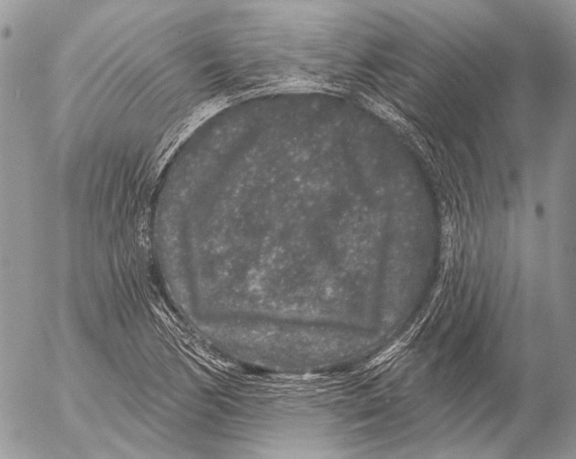 X0000053061170200508081146