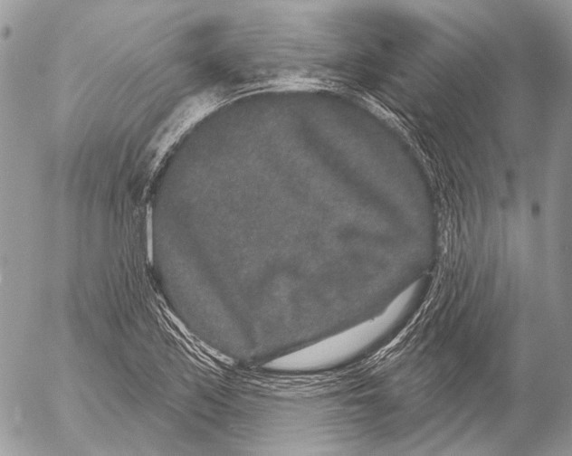 X0000053061171200508081146