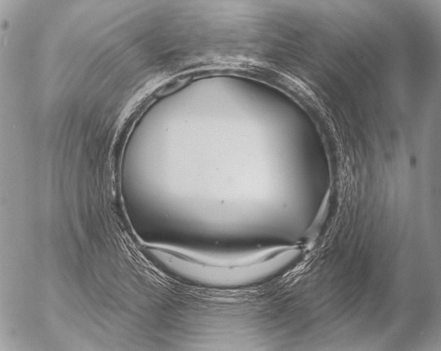 X0000053061172200508081146