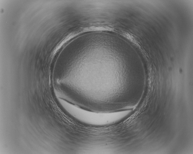 X0000053061173200508081146