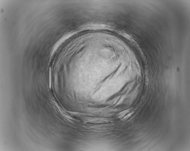 X0000053061175200508081146