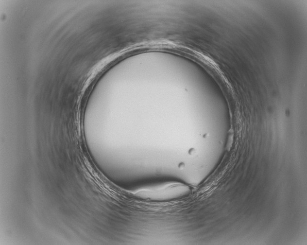 X0000053061176200508081146