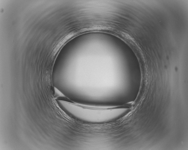 X0000053061177200508081146