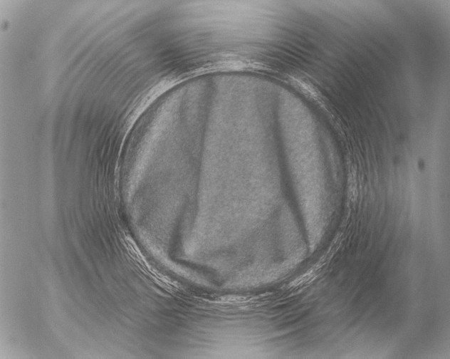 X0000053061178200508081146