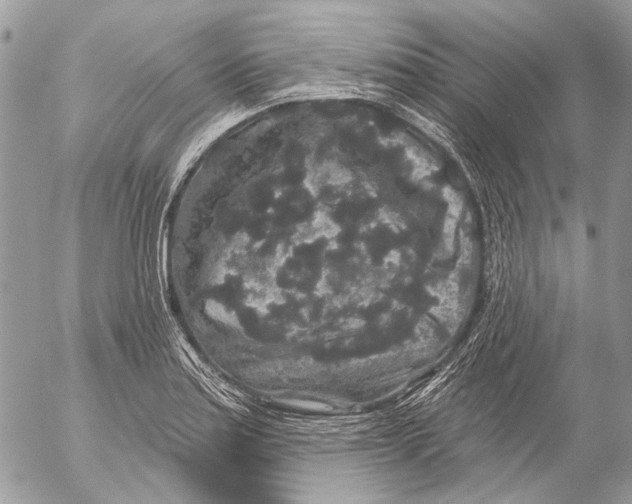 X0000053061179200508081146