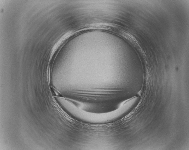 X0000053061180200508081146