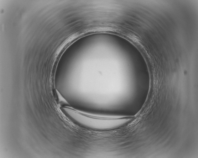 X0000053061181200508081146