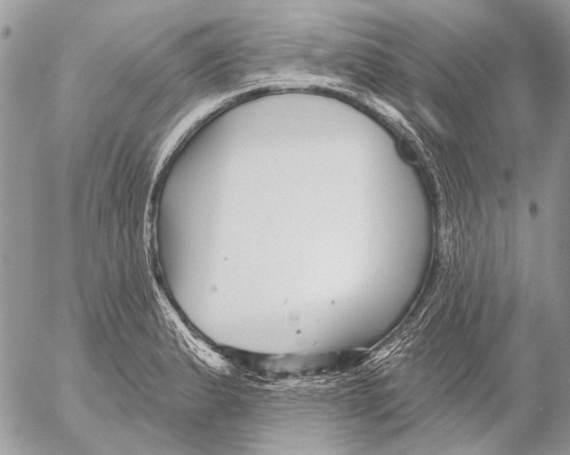 X0000053061183200508081146