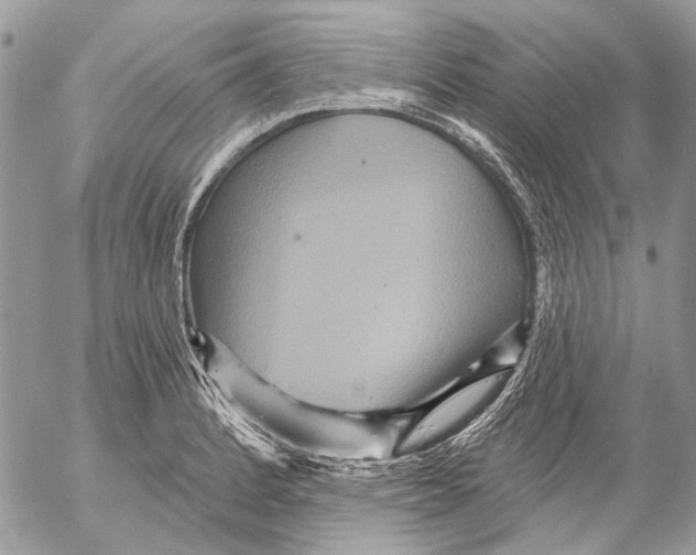 X0000053061184200508081146