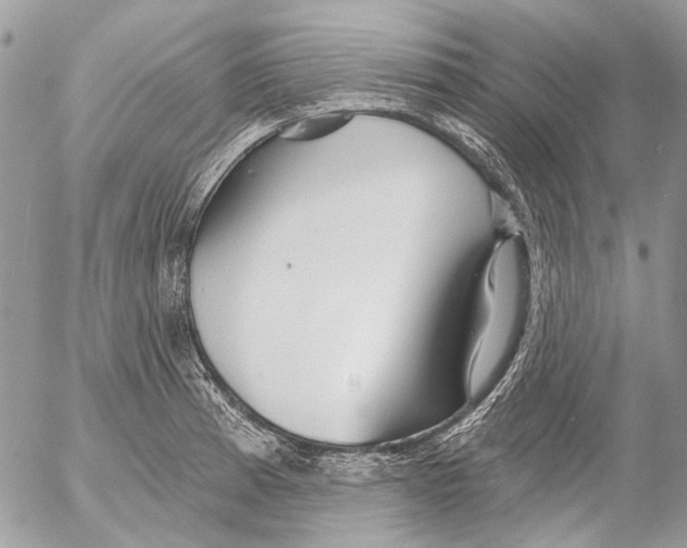 X0000053061185200508081146