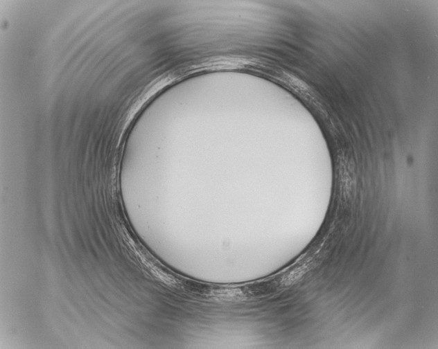 X0000053061186200508081146