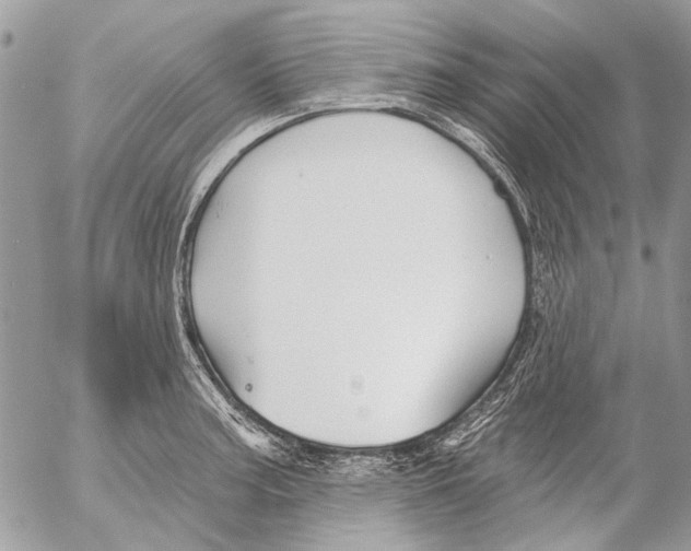 X0000053061187200508081146