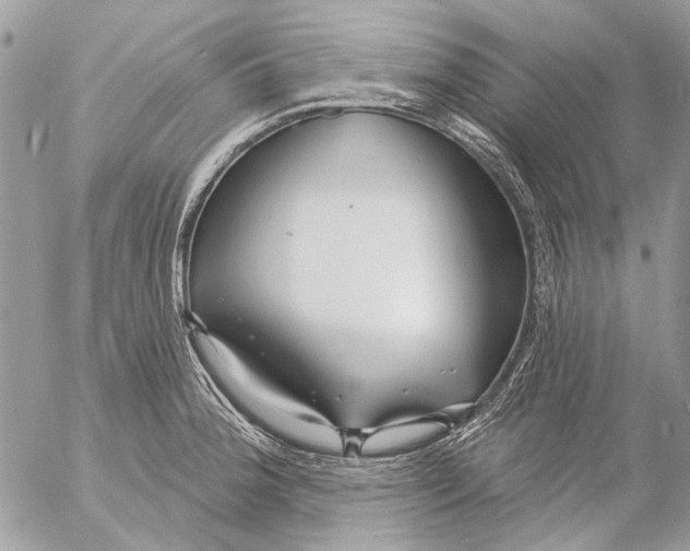 X0000053061188200508081146