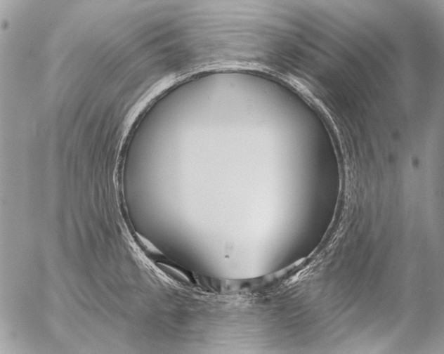 X0000053061189200508081146