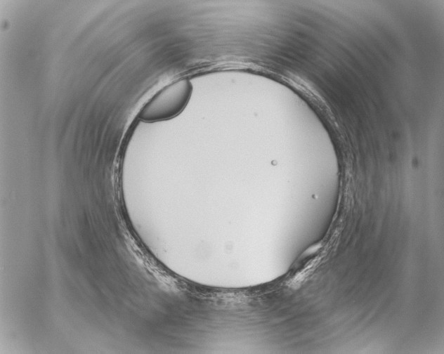 X0000053061190200508081146