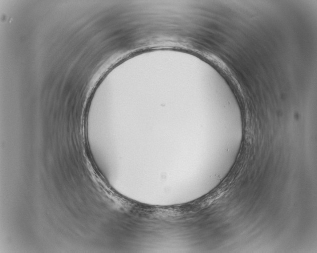 X0000053061191200508081146