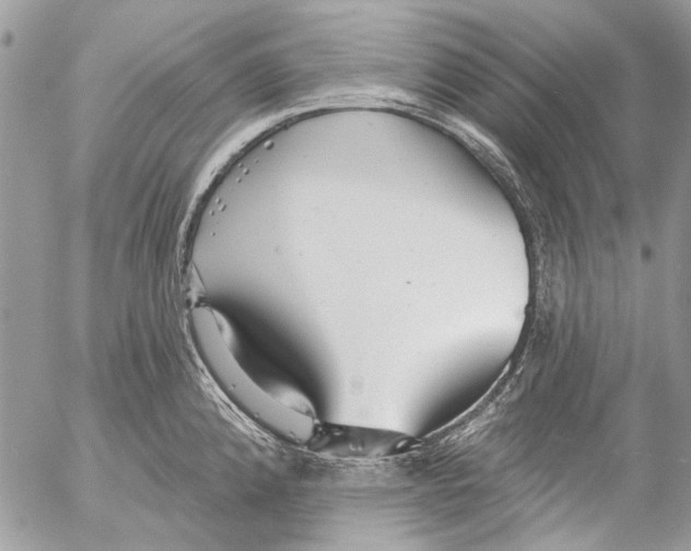 X0000053061192200508081146