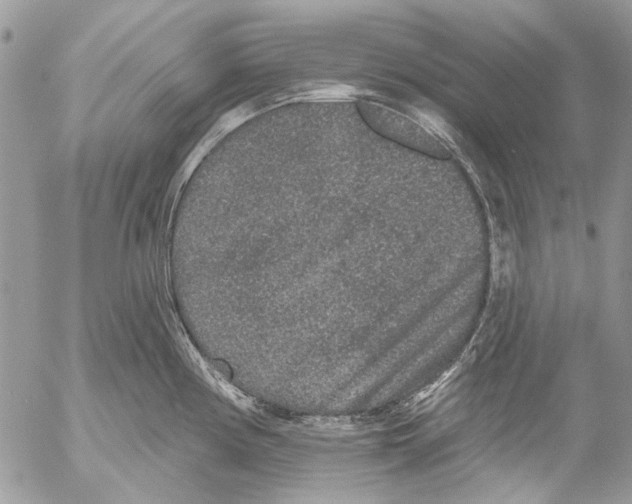 X0000053061194200508081146