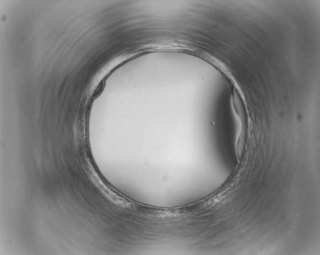 X0000053061195200508081146