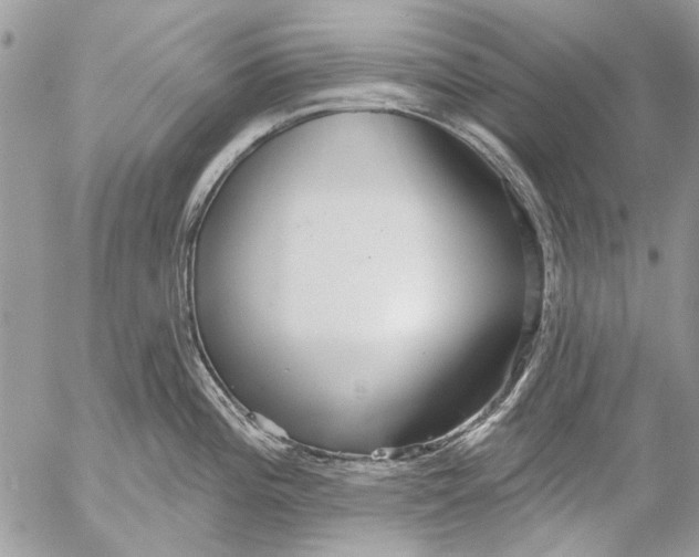 X0000053061196200508081146