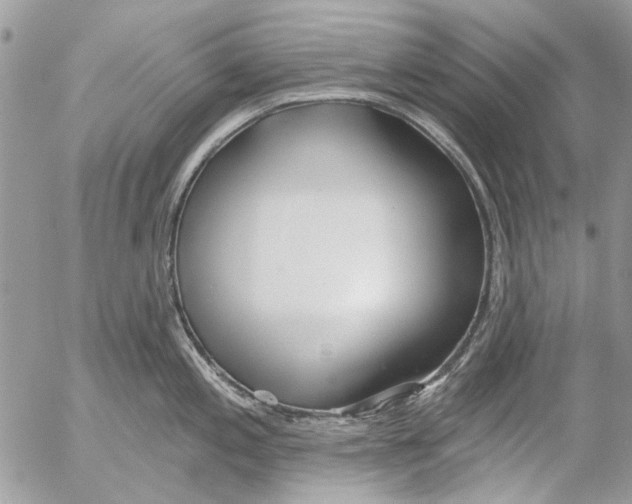 X0000053061197200508081146