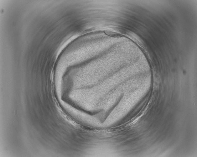 X0000053061198200508081146