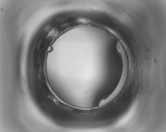 X0000053061199200508081146