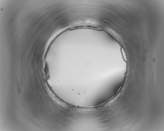 X0000053061200200508081146