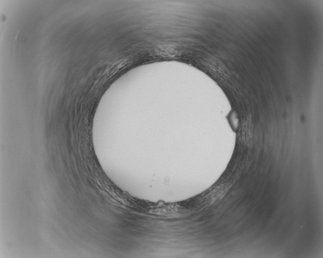 X0000053061201200508081145