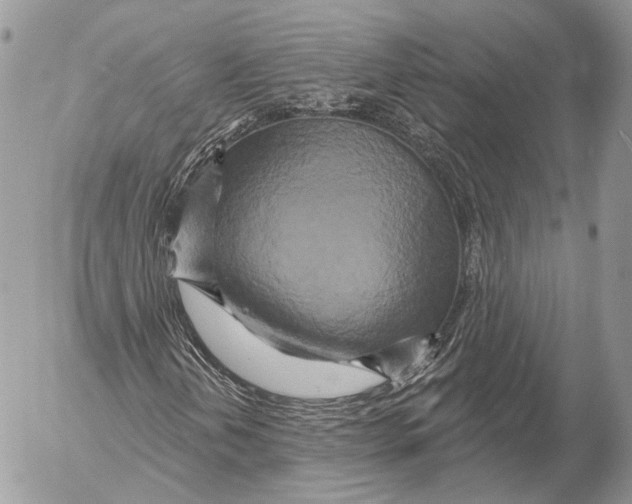 X0000053061202200508081145