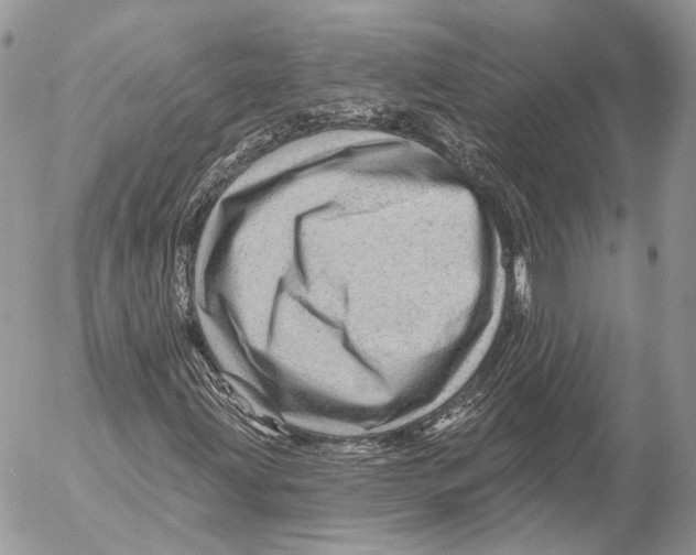 X0000053061203200508081145