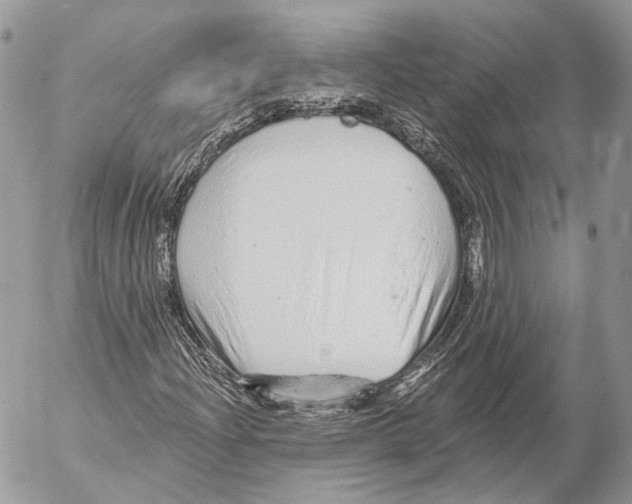 X0000053061204200508081145