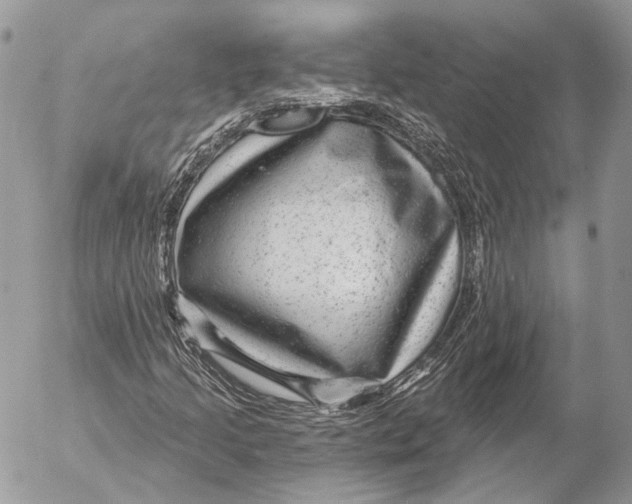 X0000053061205200508081145