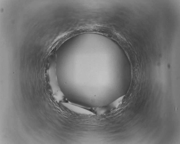 X0000053061206200508081145