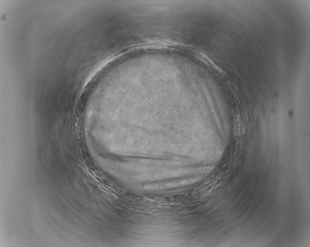 X0000053061208200508081145