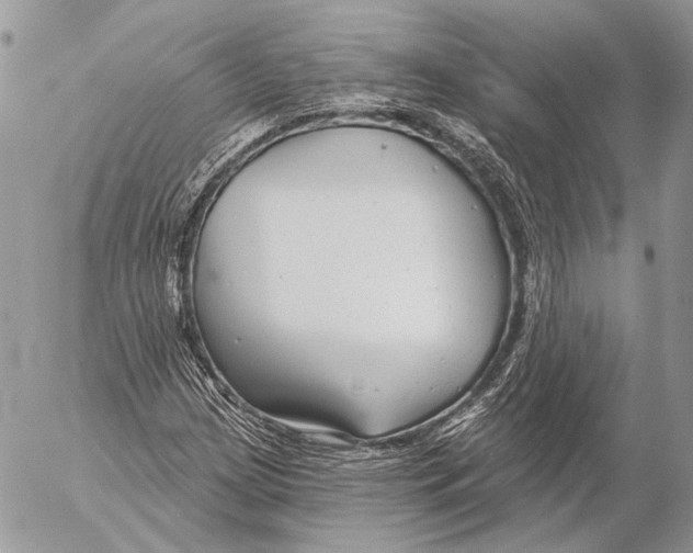 X0000053061209200508081145