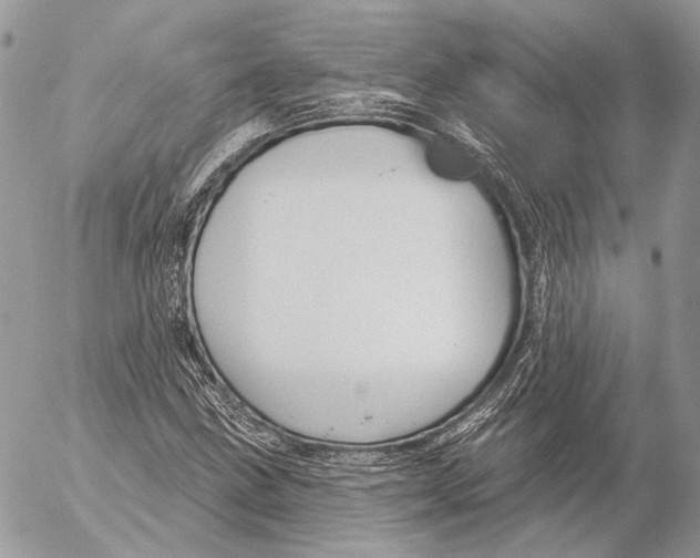 X0000053061211200508081145