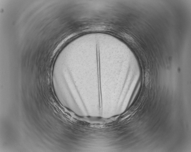 X0000053061212200508081145