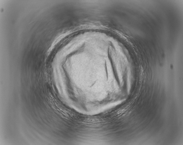 X0000053061215200508081145