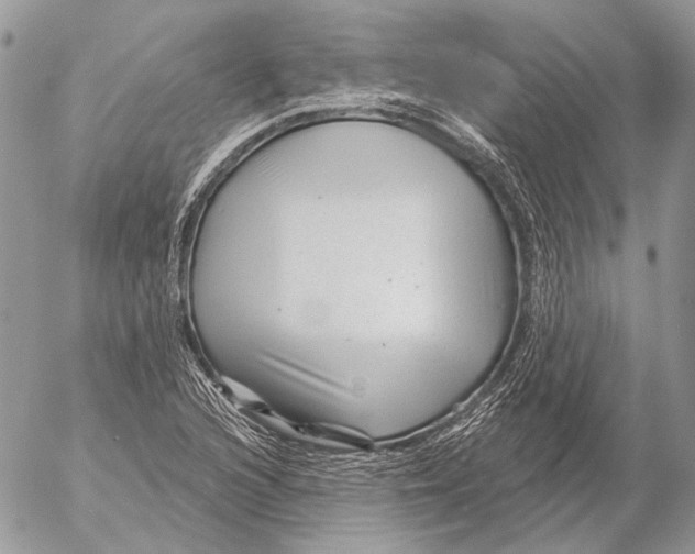 X0000053061216200508081145