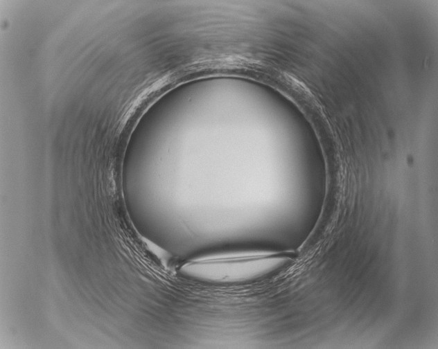 X0000053061218200508081145