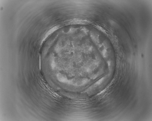 X0000053061219200508081145