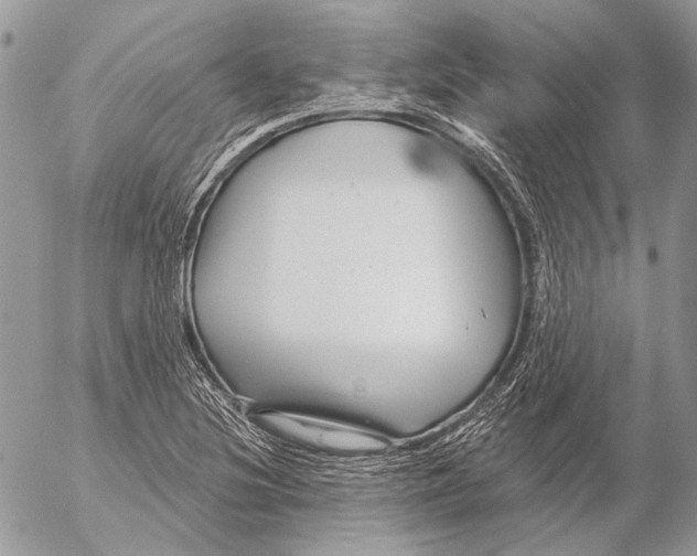 X0000053061220200508081145