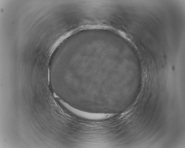 X0000053061221200508081145