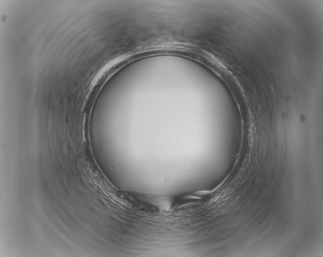 X0000053061222200508081145